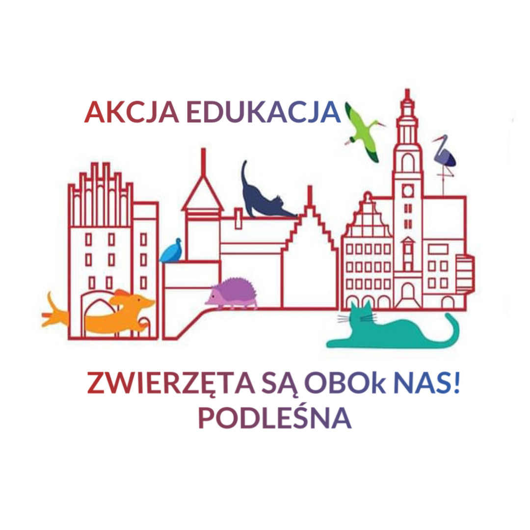 Logo projektu, kolorowa grafika przedstawiającą zwierzęta w Olsztynie Logo projektu, kolorowa grafika przedstawiającą zwierzęta w Olsztynie