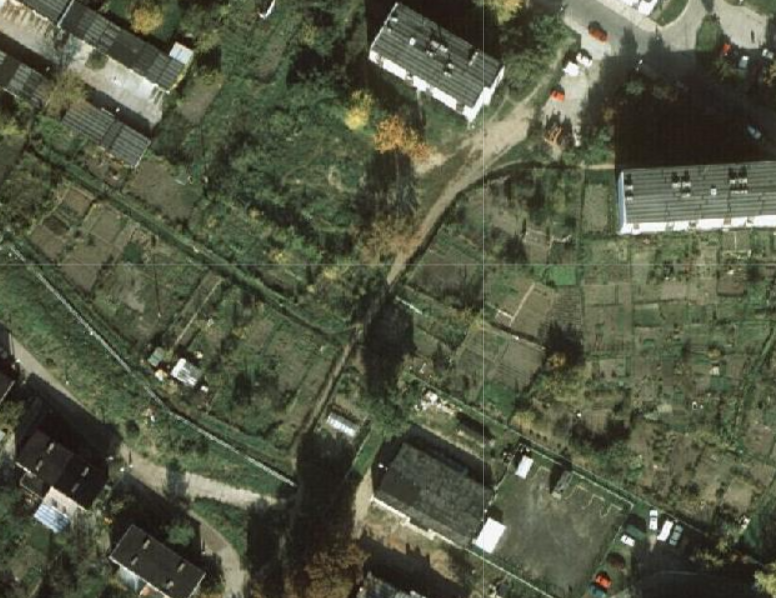 zdjęcie skrzynka permakulturowa