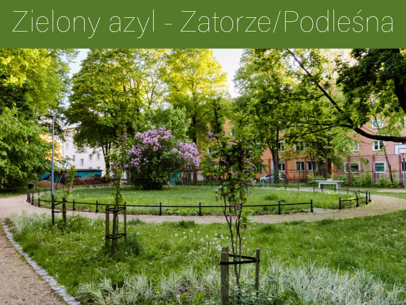 Pełen zieleni Park za Torami pod Lipami