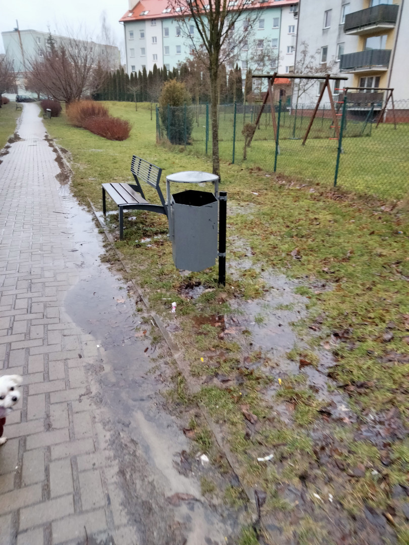 Zalany teren